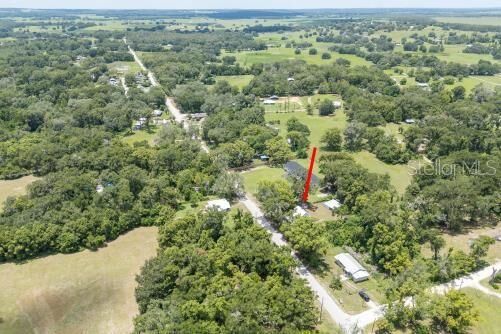 Property Photo:  37315 Trilby Road  FL 33523 