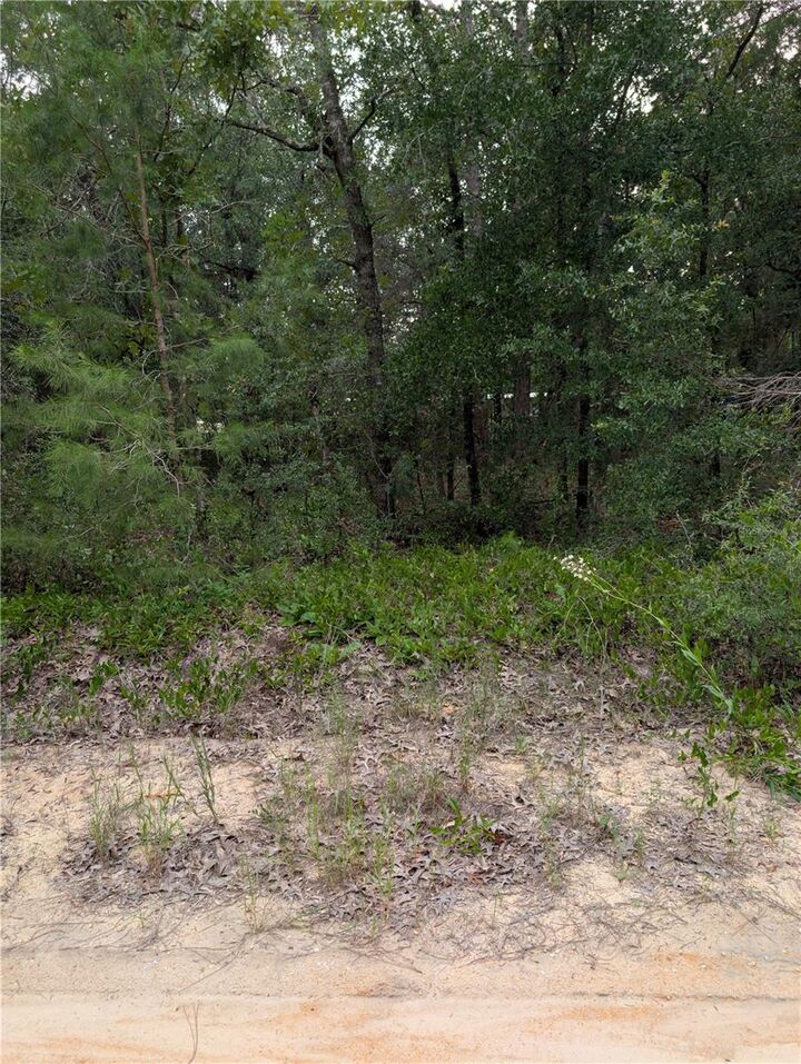 Property Photo:  Pineway Drive  FL 32148 