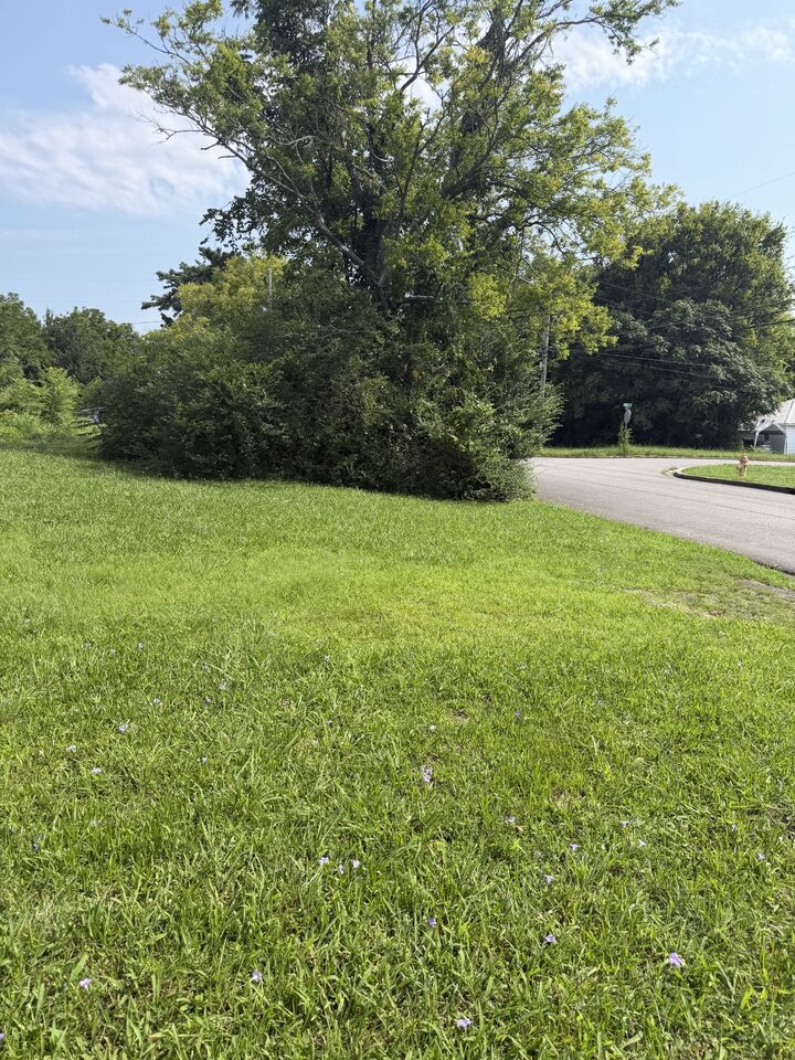 Property Photo: 0 Morton St TN 37160