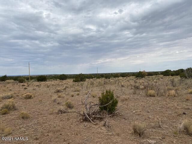 Property Photo:  10187 S Cougar Court  AZ 86046 