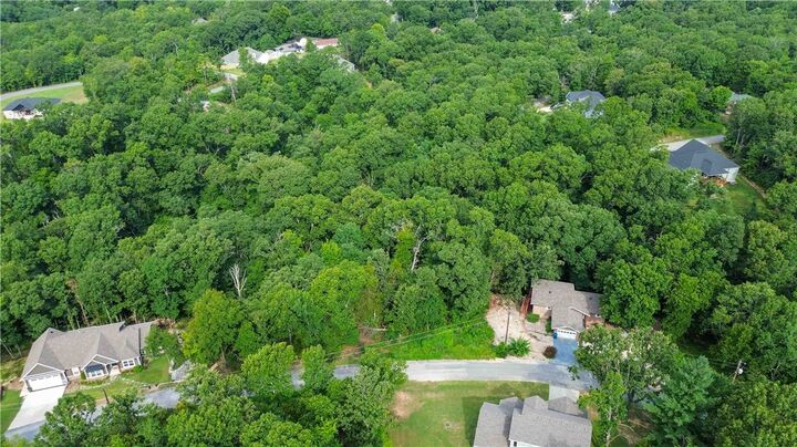 Property Photo:  Lot 10 Block 8 Roxburgh  AR 72715 