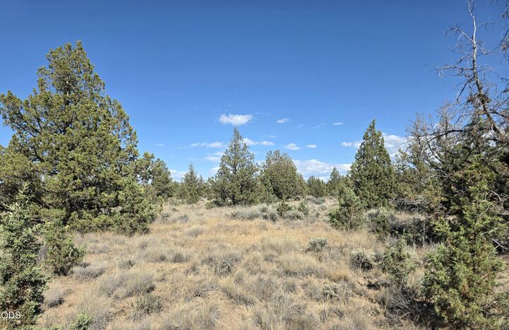 Property Photo:  SE Cayuse Road  OR 97754 