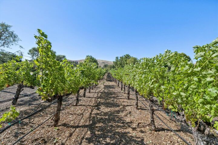 Property Photo: 1295 Lions Peak Lane CA 95046