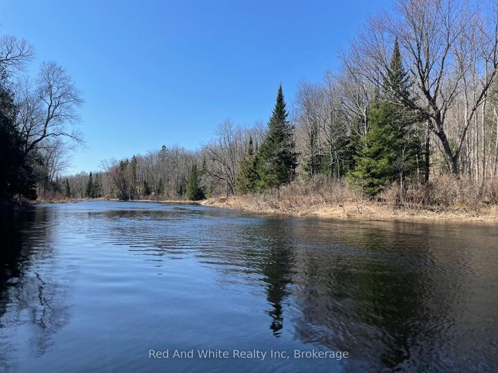 136B Maple Island Road — photo 1