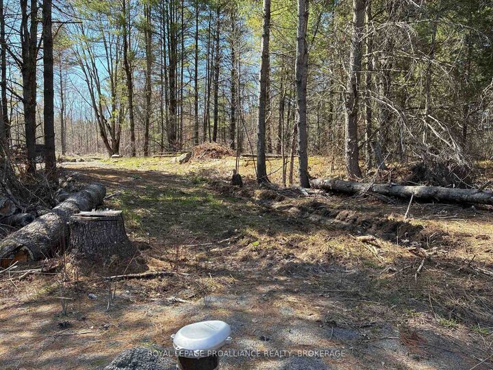 Property Photo: Lot 4 Leveque Road ON K0H 2W0