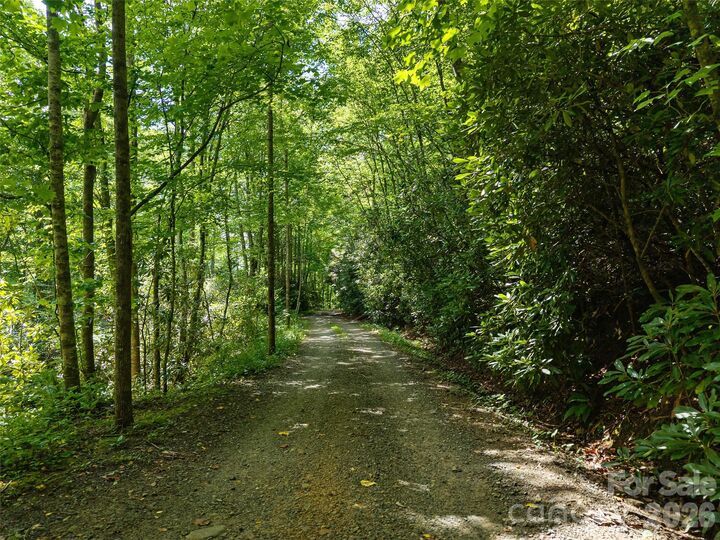 Property Photo:  23.53 Acres Ballard Creek Road  NC 28730 