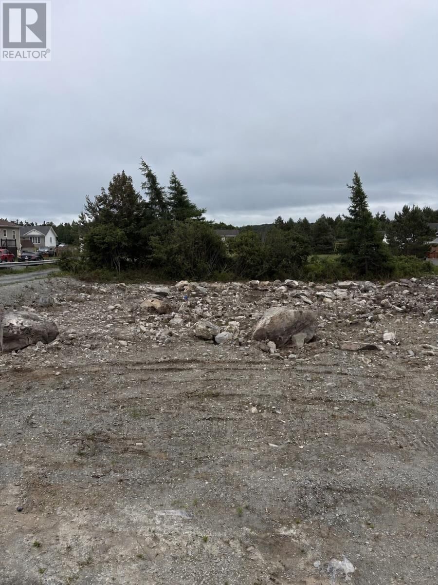 Property Photo:  Lot 1 Neck Road  NL A0A 1W0 