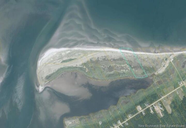 Property Photo:  21.5 Acres Rte 117  NB E9A 1R3 