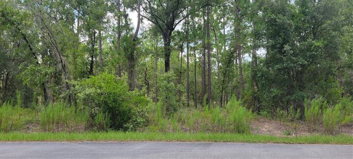 Property Photo:  0 NW Highview Avenue  FL 34431 