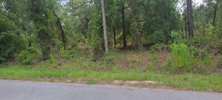 Property Photo: 0 NW Highview Avenue FL 34431