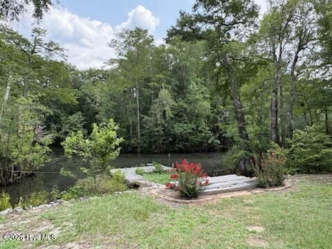 Property Photo: 158 Widow Moore Drive NC 28435