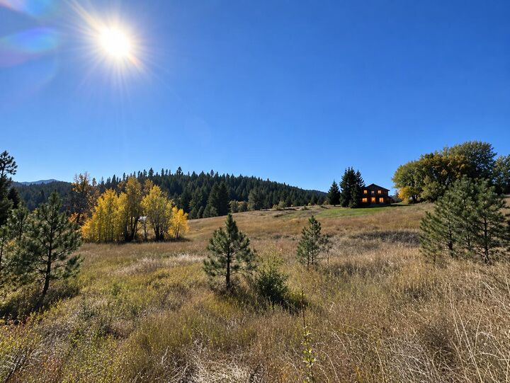 Property Photo:  1258 Pingston Creek Rd  WA 99141 