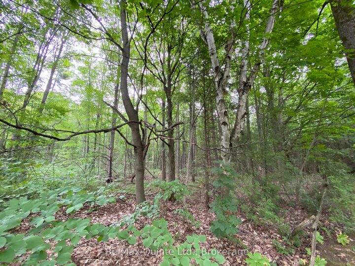 Property Photo:  0 County Rd 30 N/A  ON K0K 1H0 