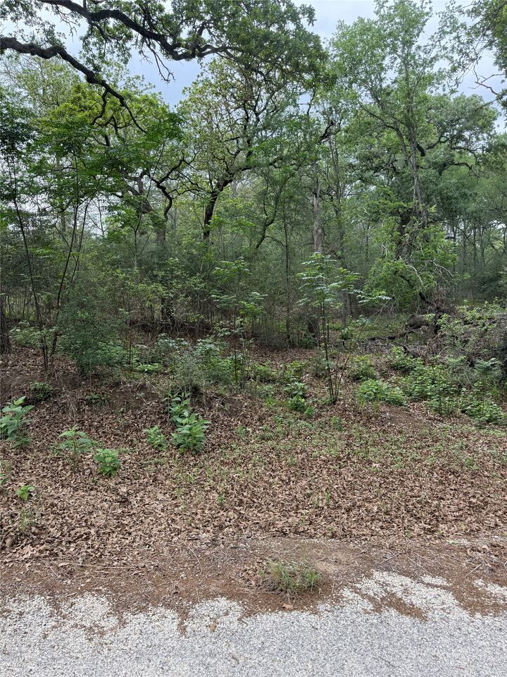 Property Photo:  Lots 69 And 70 Kaelepulu Drive  TX 78602 