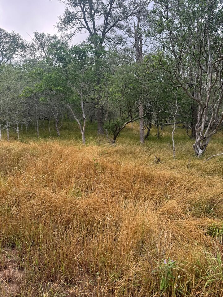 Property Photo:  107 And 109 Hauula Court  TX 78602 