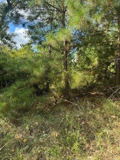 Property Photo:  Lots 1338 And 1339 Tahitian Drive  TX 78602 
