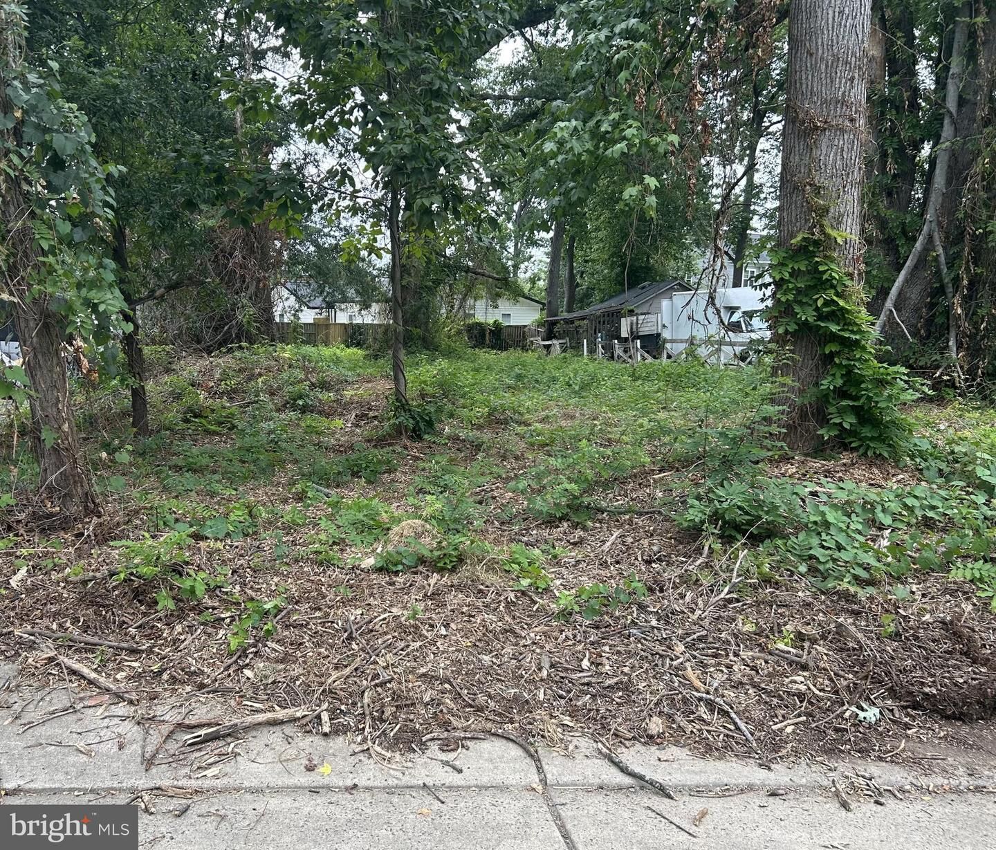 Property Photo: 7814 Belvedere Drive VA 22306