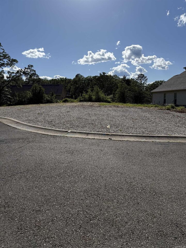 Property Photo: Lot 8 Damian Ct AR 71901