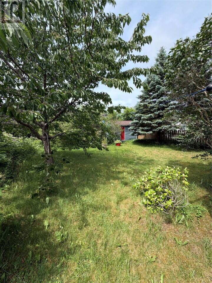 Property Photo:  226 Mundy Pond Road  NL A1E 1V9 