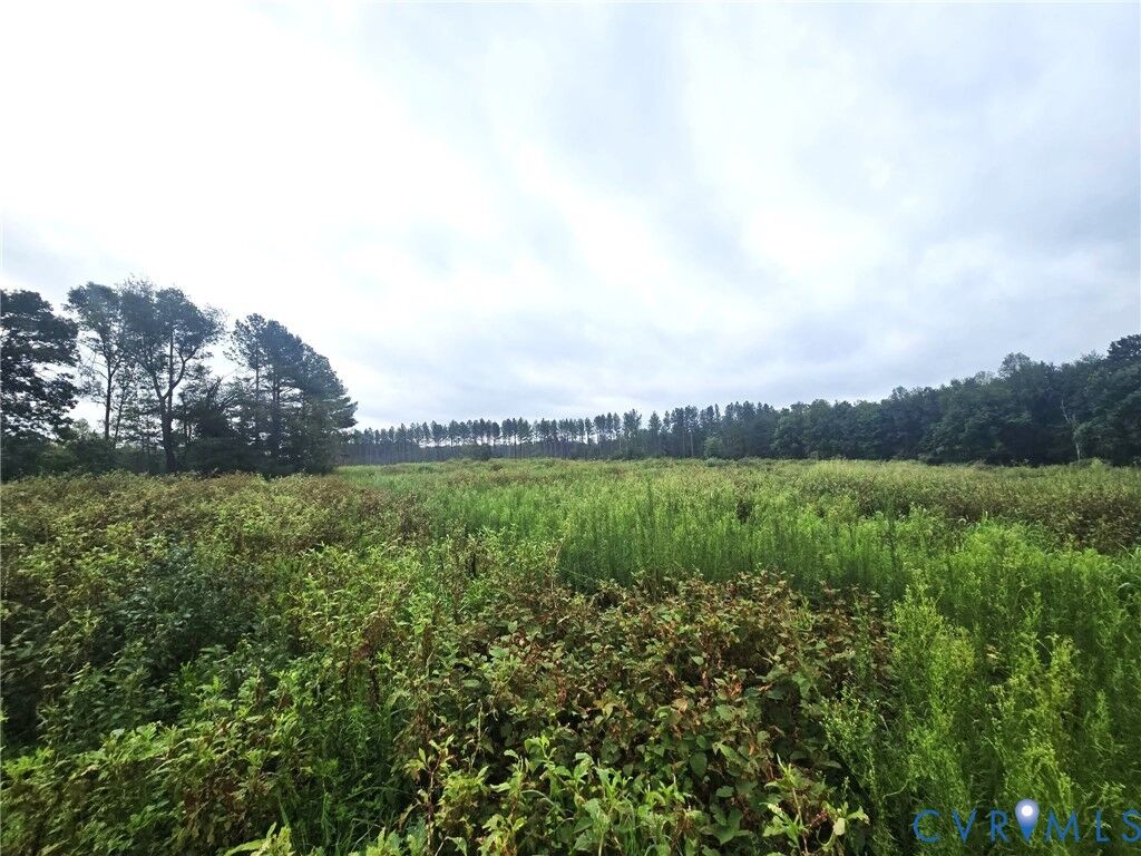 Property Photo: Tbd Fredericks Hall Road VA 23117