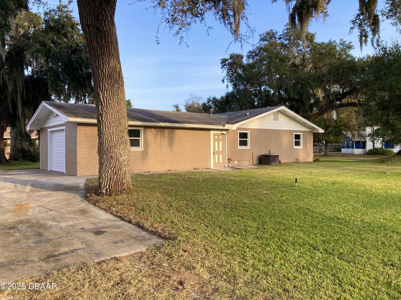 Property Photo:  2129 Lime Tree Drive  FL 32141 