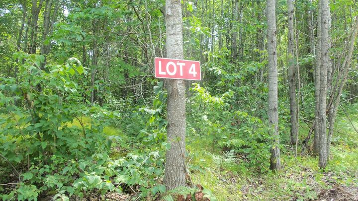 Property Photo: Lot 4 Birch Tree Trl WI 54801