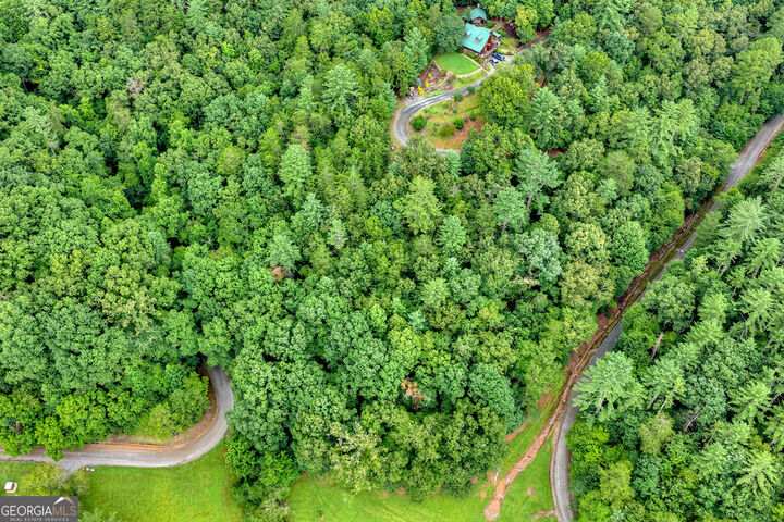 Property Photo: Lot 5B Toccoa River Forest GA 30559