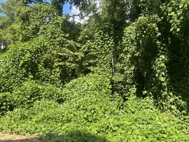 Property Photo:  8819 Gann Road  TN 37379 