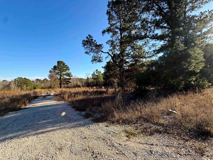 Property Photo: Tbd County Rd 2623 TX 75566