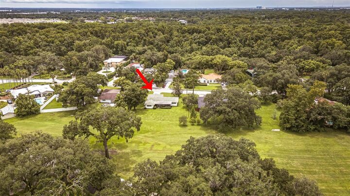 Property Photo:  936 N Riverhills Drive  FL 33617 