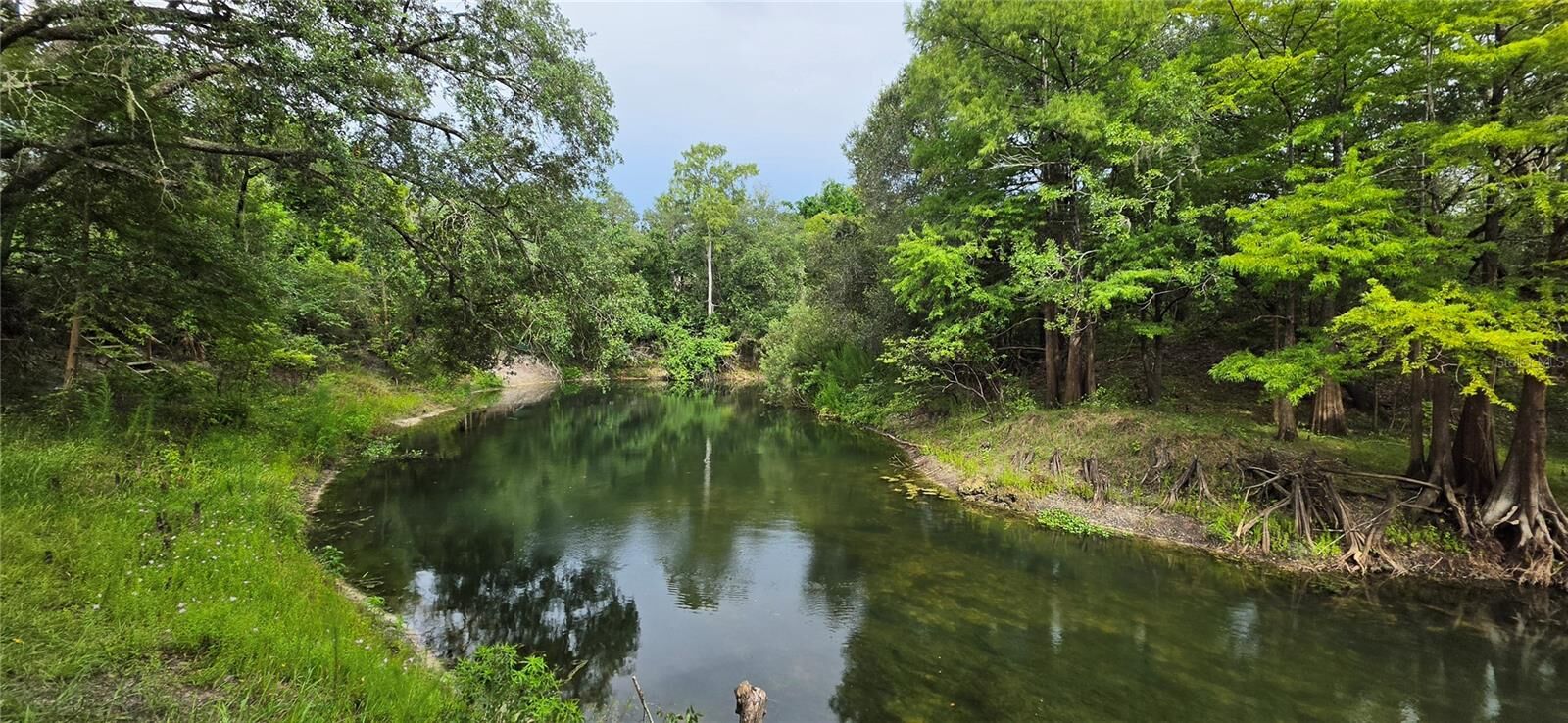 Property Photo: 0 Round Table Road FL 33523