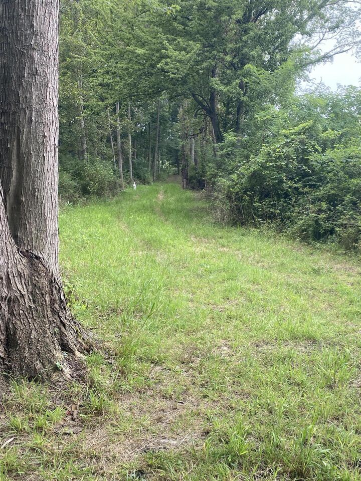 Property Photo: Vl 174th Avenue MI 49456