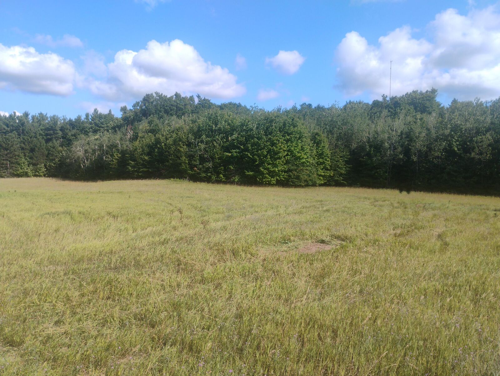 Property Photo:  6383 Lee Road  MI 49727 