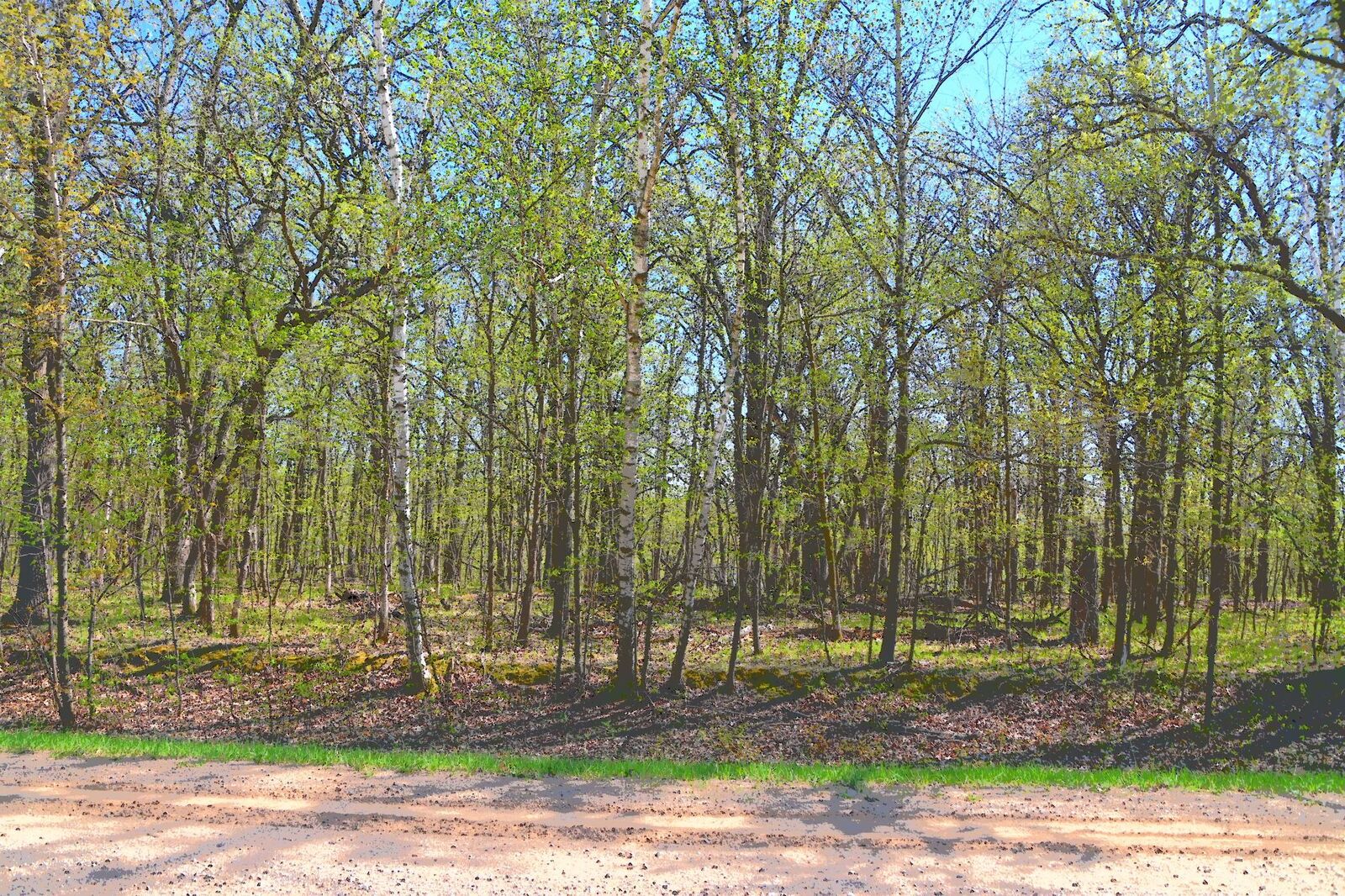 Property Photo: Tbd 392 Street MN 56438