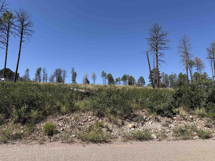 Property Photo:  Pawhuska Dr Movac Loop  NM 88350 