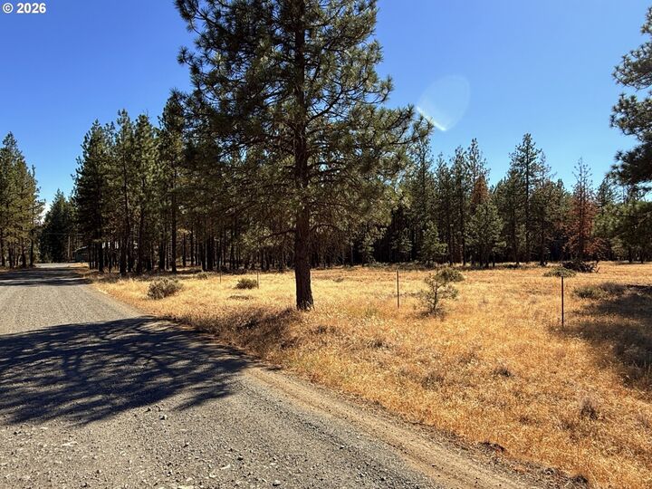 Property Photo:  Box Canyon Buckhorn 1  WA 98620 