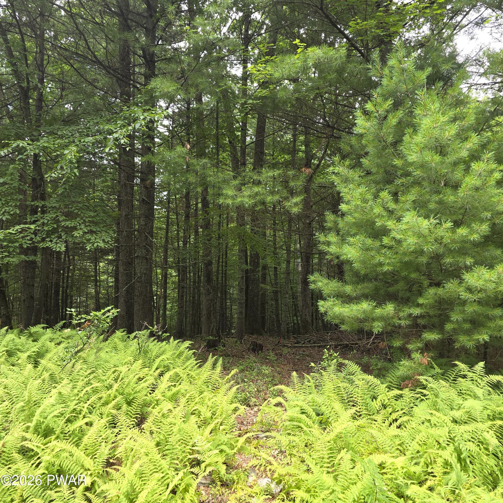Property Photo: Winfield Lot 4 Winfield Road PA 18457