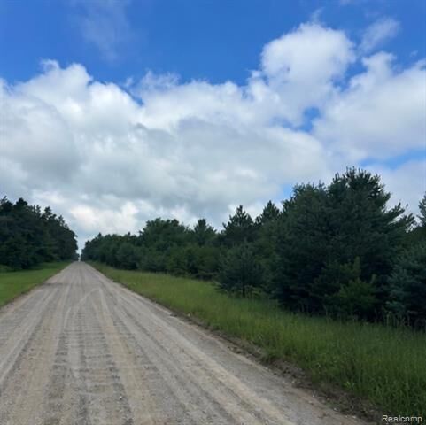 Property Photo: 000 Fletcher Road MI 48653