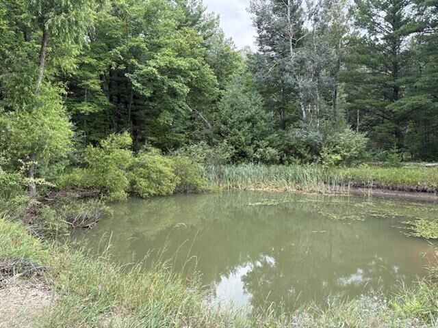 Property Photo: Vl 5 Mile Road MI 49336