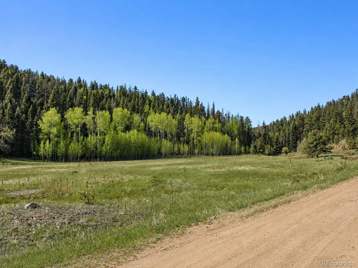 Property Photo:  Lot 1 Co Rd 358  CO 81252 