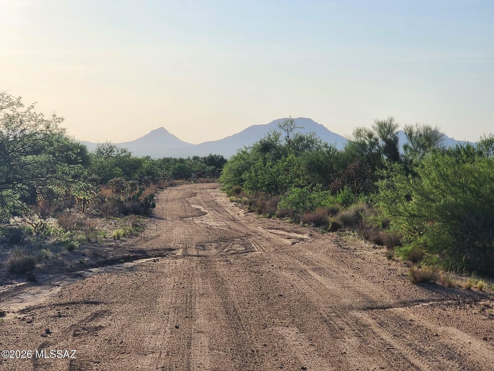 Property Photo:  16130 W Prosperi Avenue 91  AZ 85736 