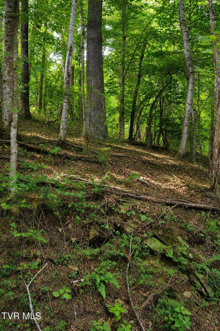 Property Photo: Tbd Moody Circle TN 37640