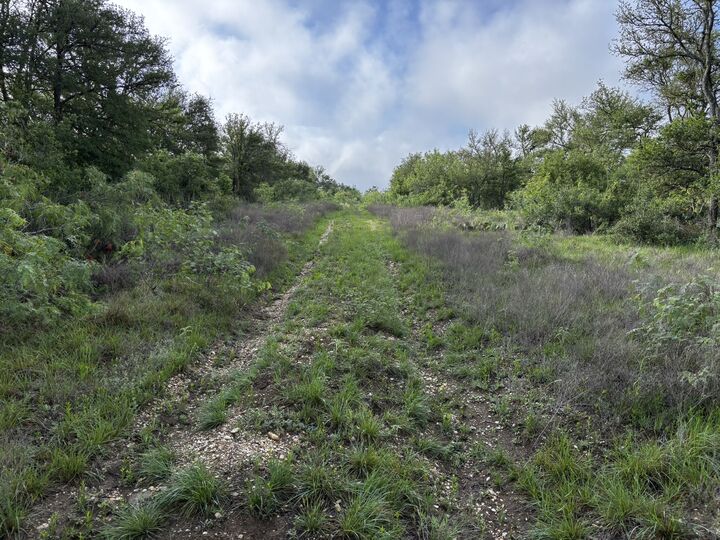 Property Photo: 615 County Road 467 TX 76578
