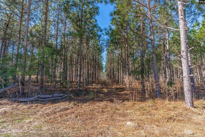 Property Photo:  Lot #6 Fairview 008200-07-010  SC 29006 
