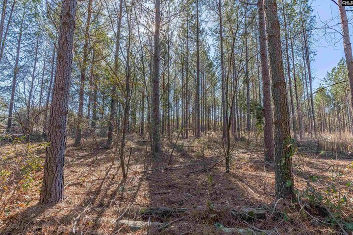 Property Photo: Lot #7 Fairview 008200-07-010 SC 29006