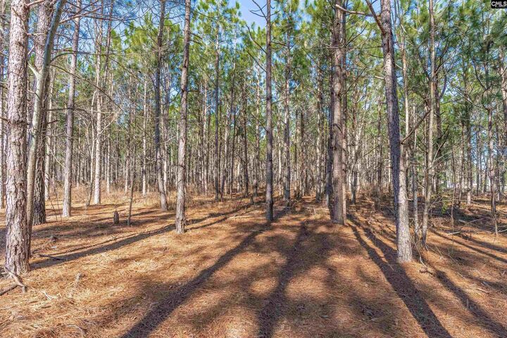 Property Photo:  Lot #1 Fairview 008200-07-010  SC 29006 