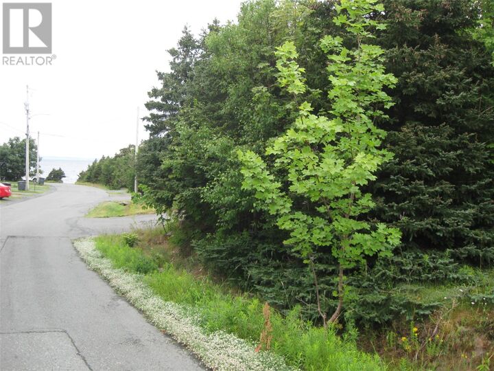 Property Photo: 56 Robert's Road North NL A1X 6K2