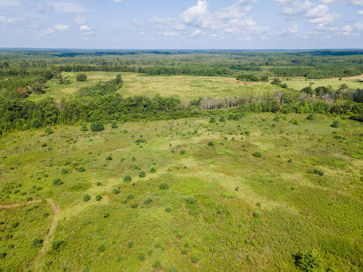 Property Photo: Lot 8 Campbell Road FL 32435