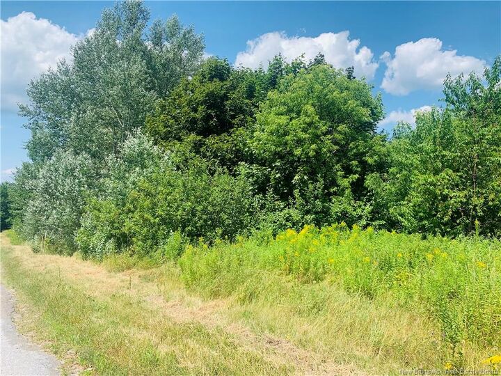 Property Photo:  Land Bovaird Street  NB E5N 3A5 