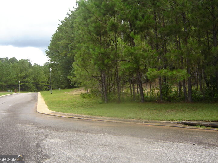 Property Photo: 0 Covington Way AL 36863